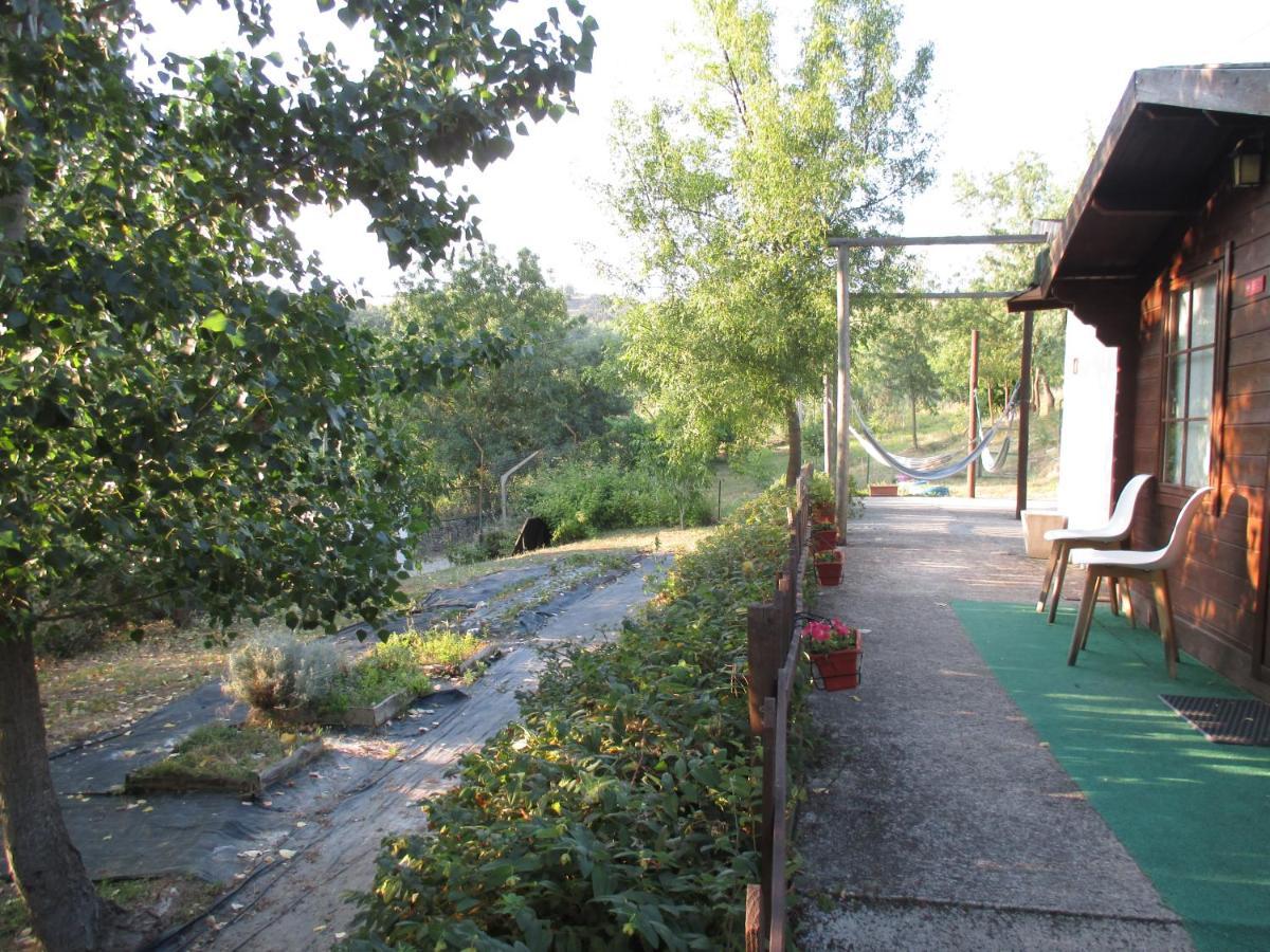 Bungalow "A Choupana" - Quinta Da Carvoica - Vale Pradinhos Vale de Pradinhos Экстерьер фото