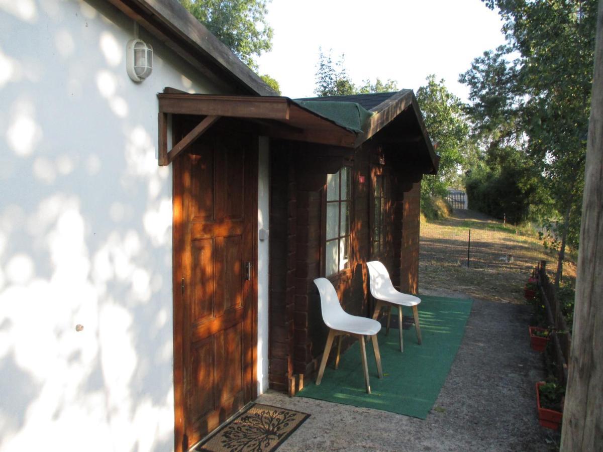 Bungalow "A Choupana" - Quinta Da Carvoica - Vale Pradinhos Vale de Pradinhos Экстерьер фото